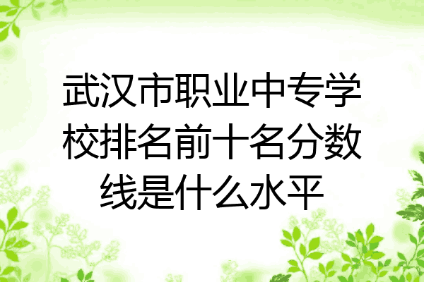 武汉市职业中专学校排名前十名分数线是什么水平