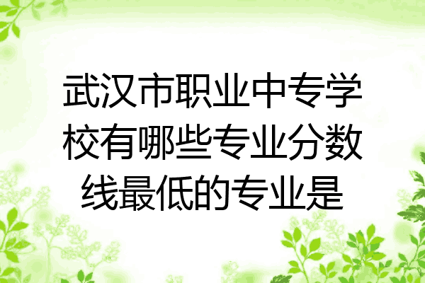 武汉市职业中专学校有哪些专业分数线最低的专业是