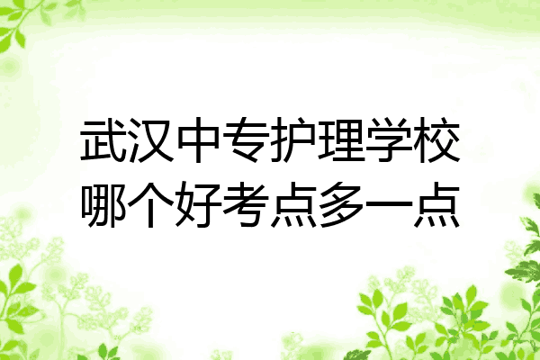 武汉中专护理学校哪个好考点多一点