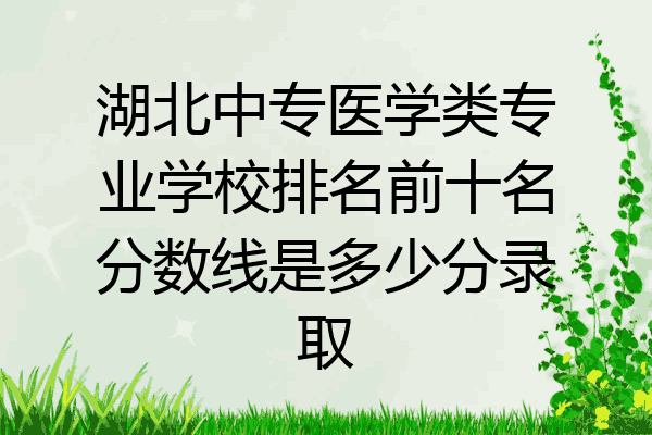 湖北中专医学类专业学校排名前十名分数线是多少分录取