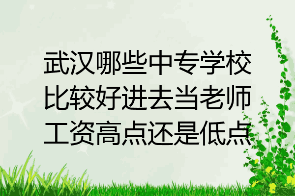 武汉哪些中专学校比较好进去当老师工资高点还是低点