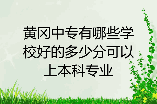 黄冈中专有哪些学校好的多少分可以上本科专业