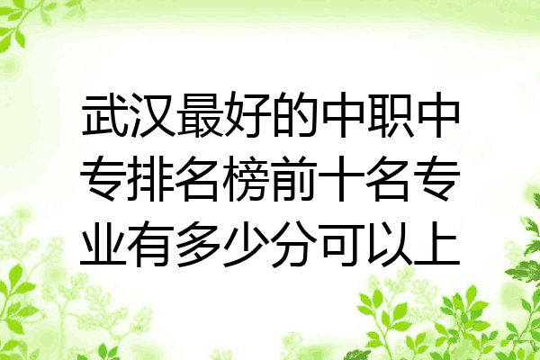 武汉最好的中职中专排名榜前十名专业有多少分可以上