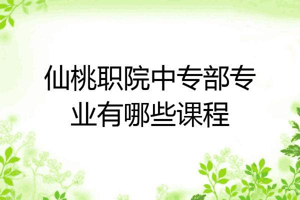 仙桃职院中专部专业有哪些课程