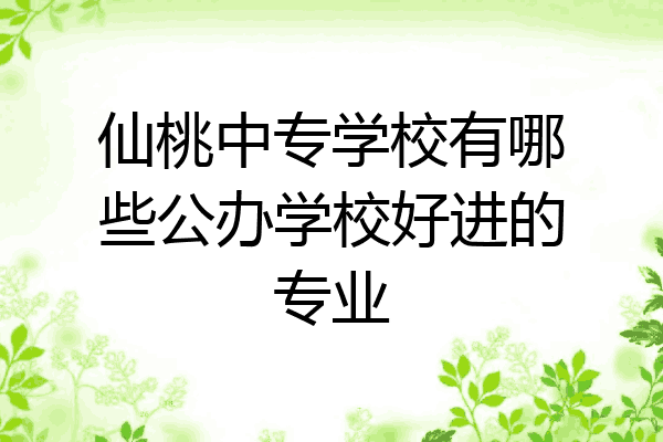 仙桃中专学校有哪些公办学校好进的专业