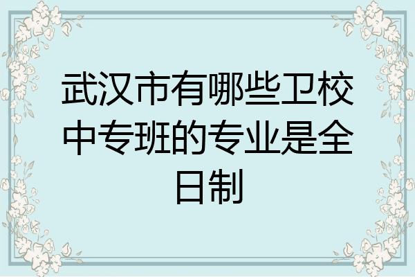 武汉市有哪些卫校中专班的专业是全日制