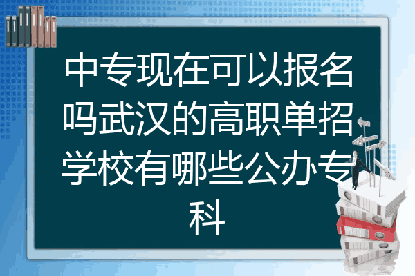 中专现在可以报名吗武汉的高职单招学校有哪些公办专科