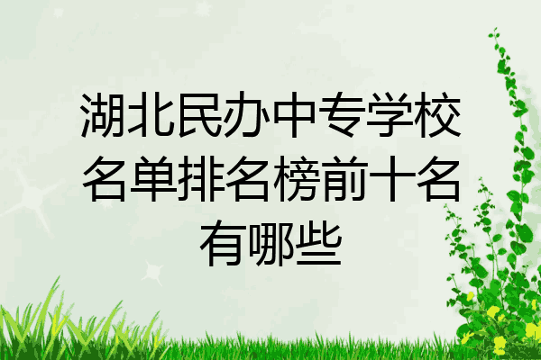 湖北民办中专学校名单排名榜前十名有哪些