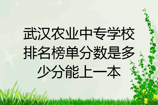 武汉农业中专学校排名榜单分数是多少分能上一本