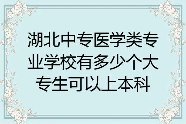 湖北中专医学类专业学校有多少个大专生可以上本科