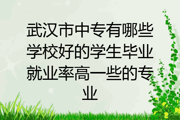 武汉市中专有哪些学校好的学生毕业就业率高一些的专业