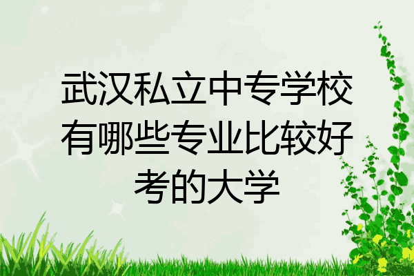 武汉私立中专学校有哪些专业比较好考的大学
