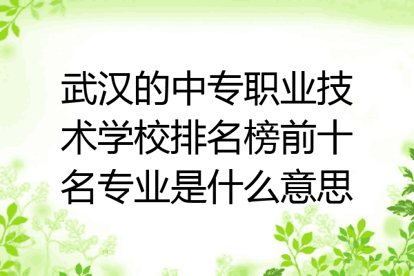 武汉的中专职业技术学校排名榜前十名专业是什么意思