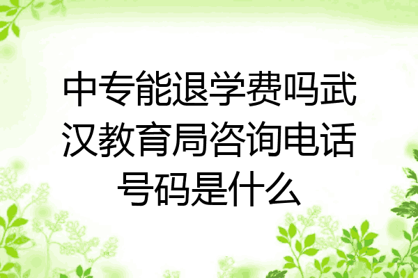 中专能退学费吗武汉教育局咨询电话号码是什么