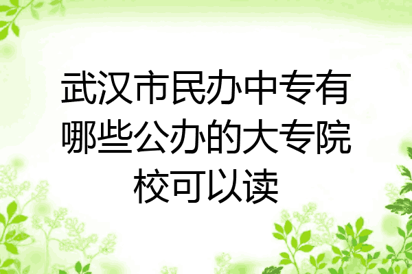 武汉市民办中专有哪些公办的大专院校可以读