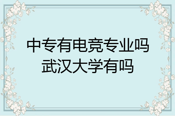 中专有电竞专业吗武汉大学有吗