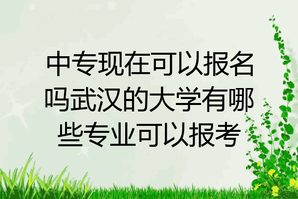 中专现在可以报名吗武汉的大学有哪些专业可以报考
