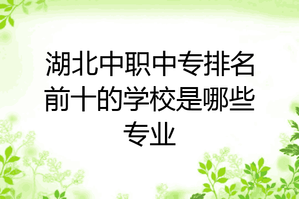 湖北中职中专排名前十的学校是哪些专业