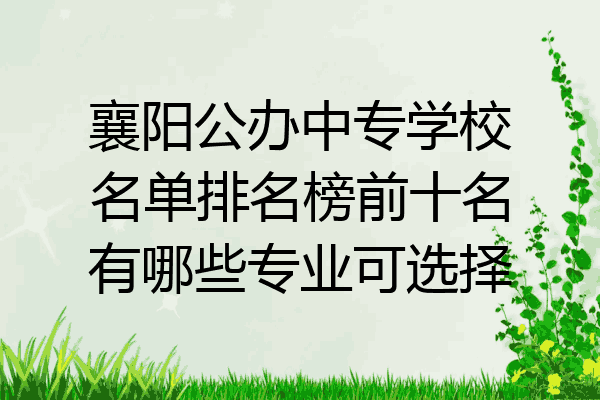 襄阳公办中专学校名单排名榜前十名有哪些专业可选择