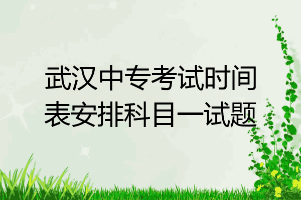 武汉中专考试时间表安排科目一试题