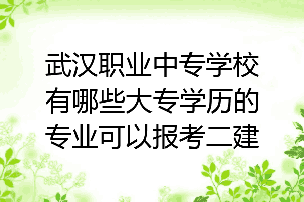 武汉职业中专学校有哪些大专学历的专业可以报考二建