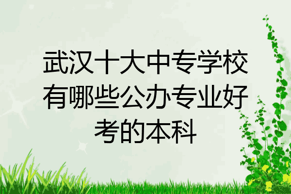 武汉十大中专学校有哪些公办专业好考的本科