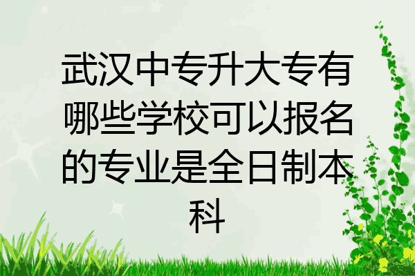 武汉中专升大专有哪些学校可以报名的专业是全日制本科