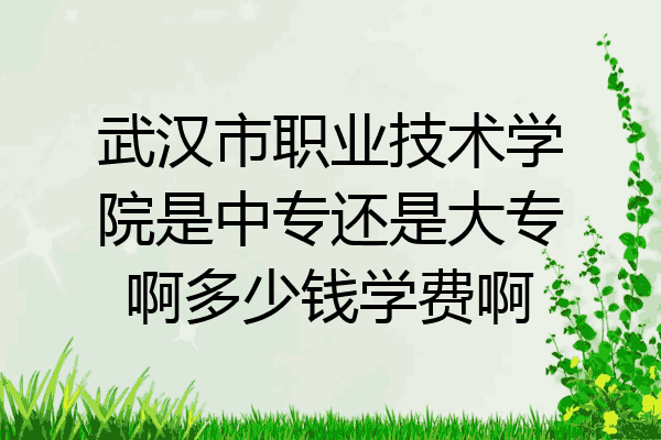 武汉市职业技术学院是中专还是大专啊多少钱学费啊