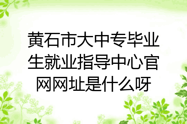 黄石市大中专毕业生就业指导中心官网网址是什么呀