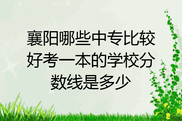 襄阳哪些中专比较好考一本的学校分数线是多少