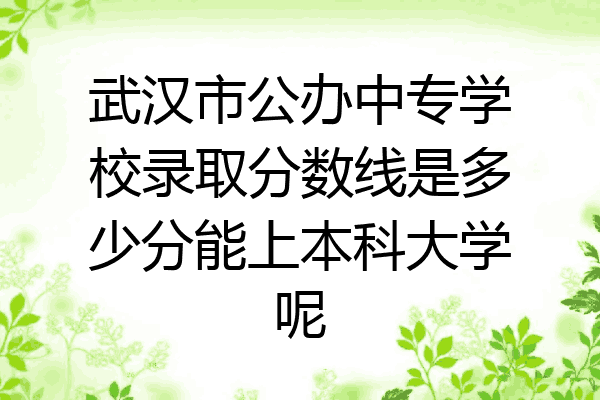 武汉市公办中专学校录取分数线是多少分能上本科大学呢