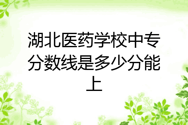 湖北医药学校中专分数线是多少分能上