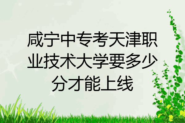 咸宁中专考天津职业技术大学要多少分才能上线