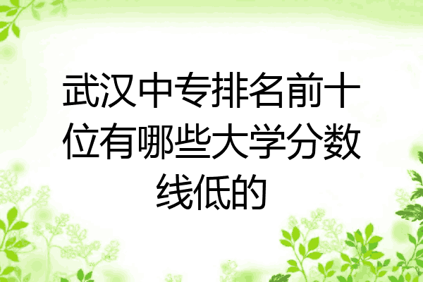 武汉中专排名前十位有哪些大学分数线低的