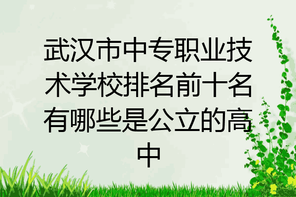 武汉市中专职业技术学校排名前十名有哪些是公立的高中