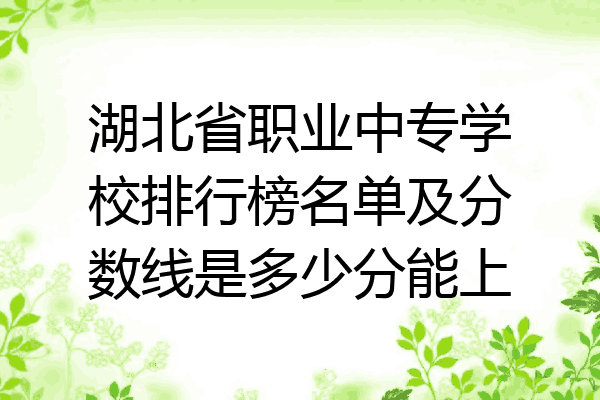 湖北省职业中专学校排行榜名单及分数线是多少分能上