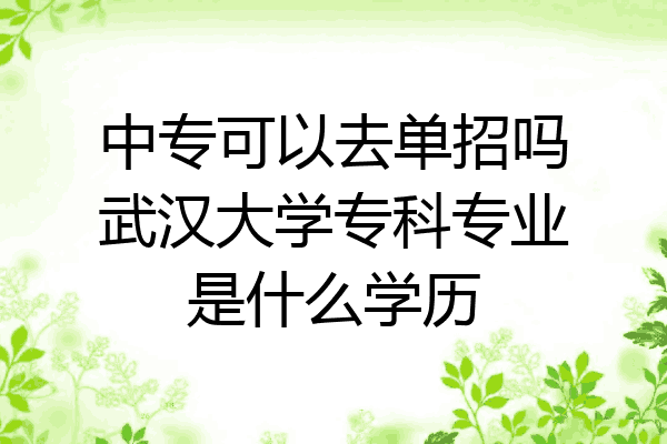 中专可以去单招吗武汉大学专科专业是什么学历