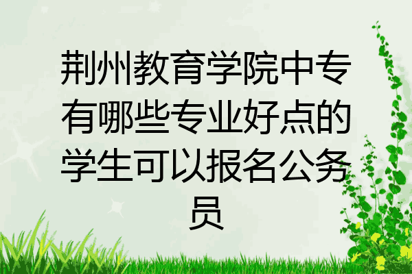 荆州教育学院中专有哪些专业好点的学生可以报名公务员
