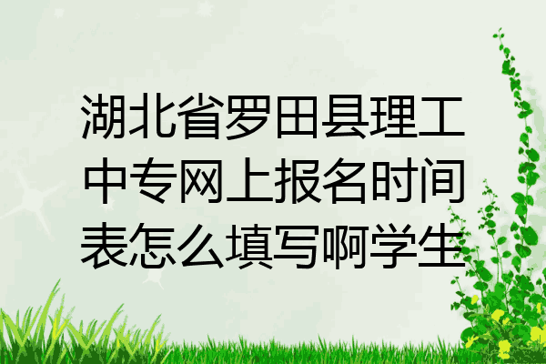 湖北省罗田县理工中专网上报名时间表怎么填写啊学生