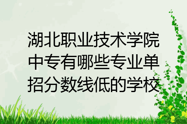 湖北职业技术学院中专有哪些专业单招分数线低的学校