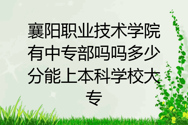 襄阳职业技术学院有中专部吗吗多少分能上本科学校大专