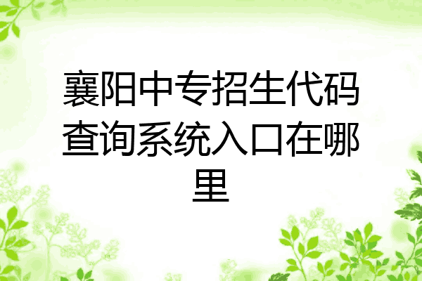 襄阳中专招生代码查询系统入口在哪里
