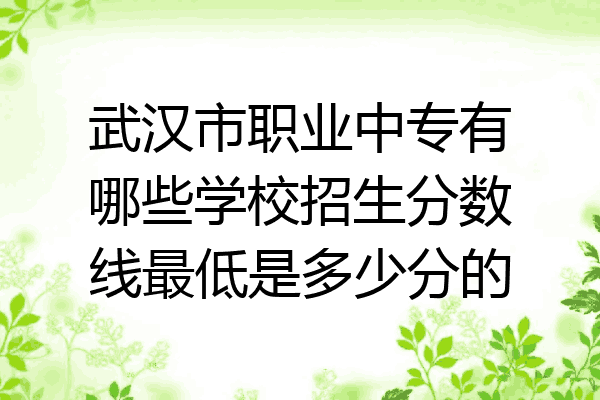 武汉市职业中专有哪些学校招生分数线最低是多少分的