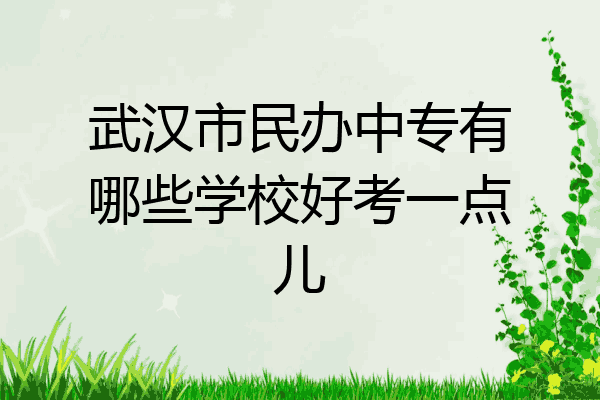武汉市民办中专有哪些学校好考一点儿
