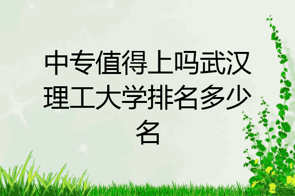 中专值得上吗武汉理工大学排名多少名