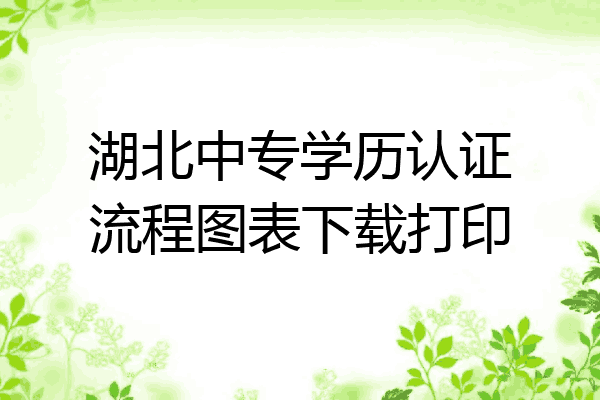 湖北中专学历认证流程图表下载打印