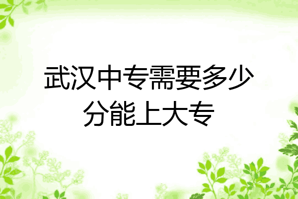武汉中专需要多少分能上大专