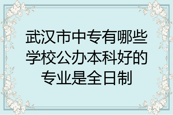 武汉市中专有哪些学校公办本科好的专业是全日制
