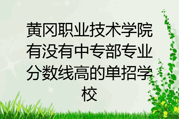 黄冈职业技术学院有没有中专部专业分数线高的单招学校
