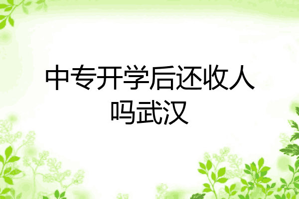 中专开学后还收人吗武汉